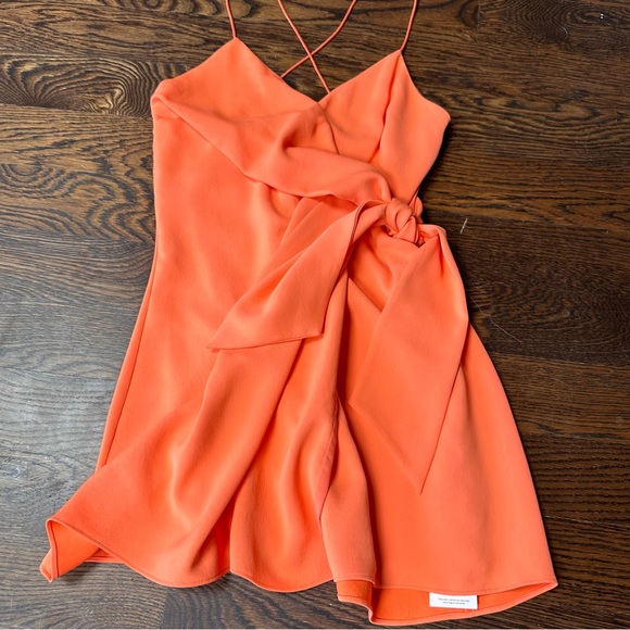 Alice + Olivia Katie Tie Wrap Dress in Coral, Size 2 - Picture 6 of 13